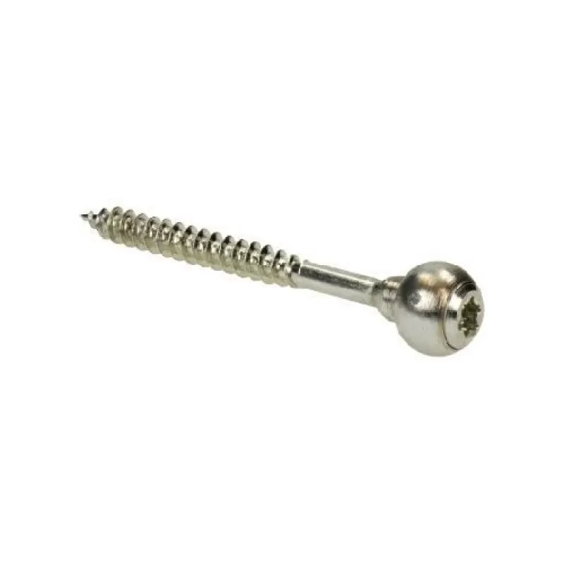 Accesoriu Defendec Services OU 53302 Surub de fixare Reconeyez