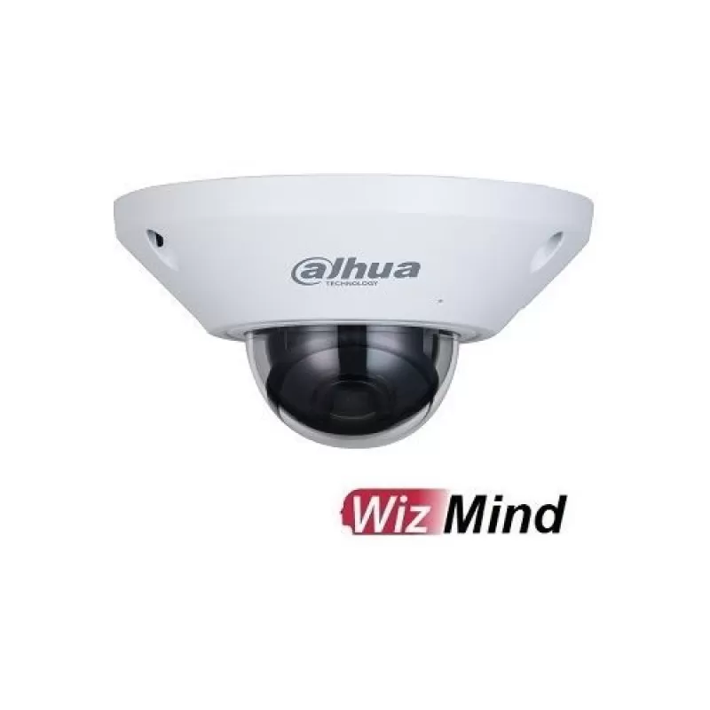 Camera de supraveghere Dahua IPC-EB5541-AS