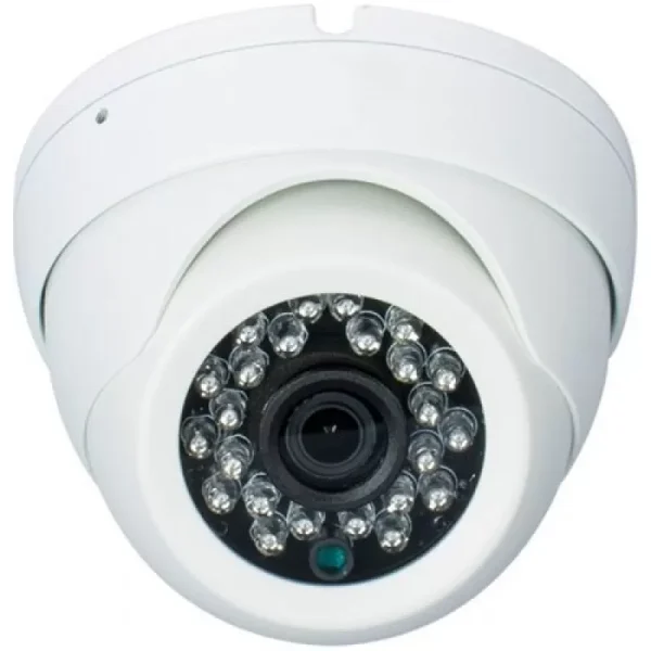 Camera de supraveghere OEM NBD-42F2M
