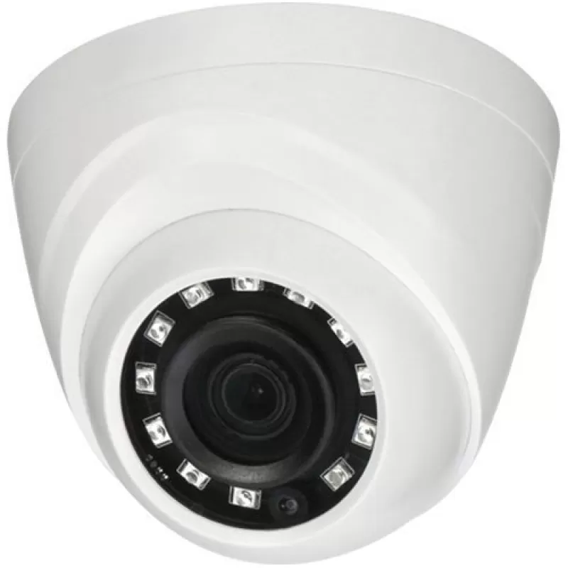 Camera de supraveghere OEM NBD-42F2P