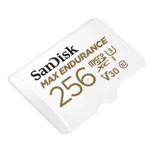 Card MicroSD 256GB