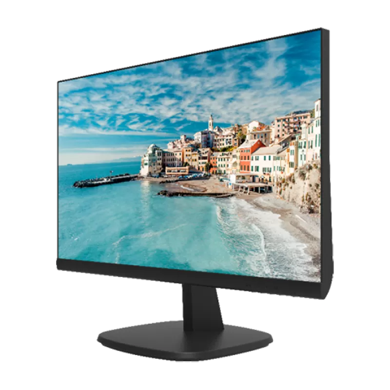Monitor LED FullHD 24inch