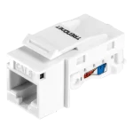 Mufa RJ-45 UTP Cat.6 tool-less - TRENDnet TC-K25C6