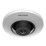 Fish Eye - Camera IP