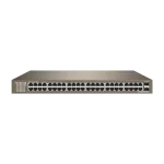 Switch 48 porturi Gigabit