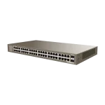 2 porturi SFP Gigabit