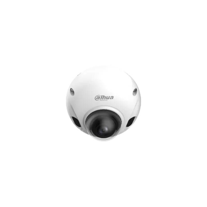 Camera Dahua Dome IP 2MP